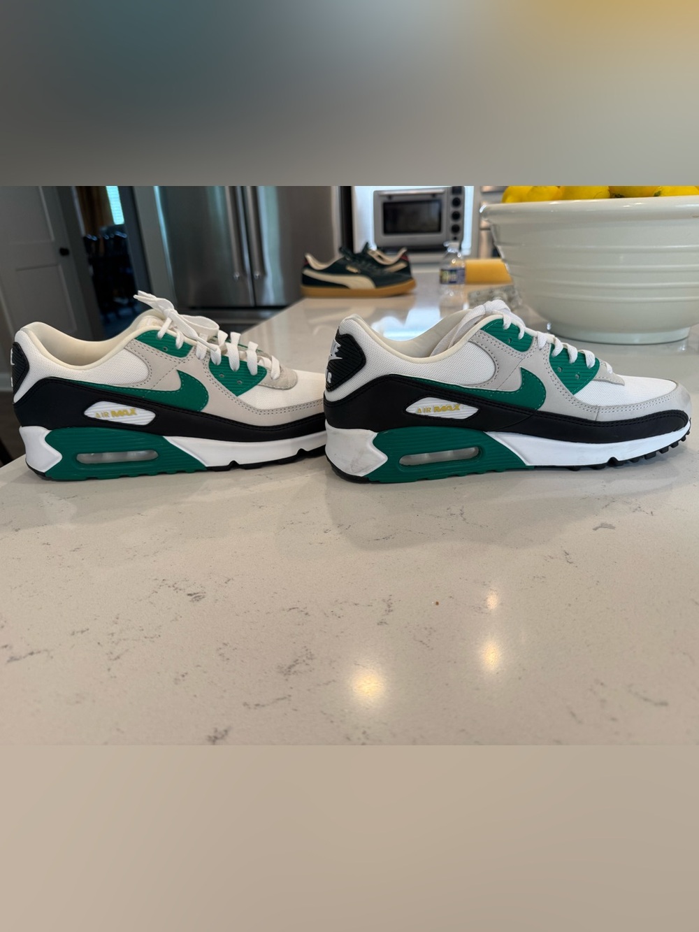 Nike Air Max 90 Premium Men’s Sneakers in Black & Green